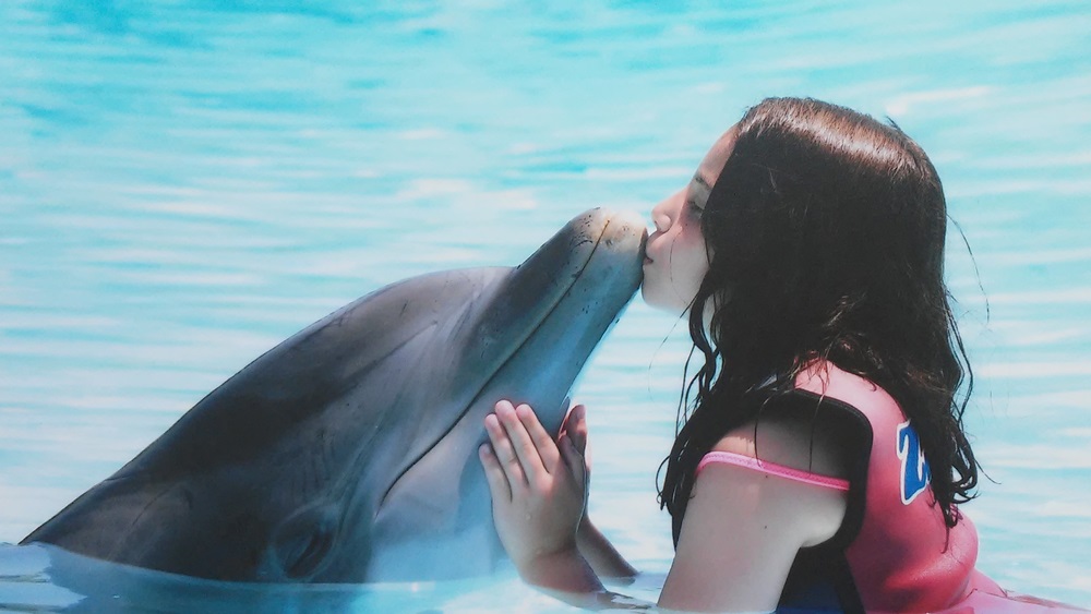 Beatriz M Nadando con delfines Verano 2016 Momento inolvidable